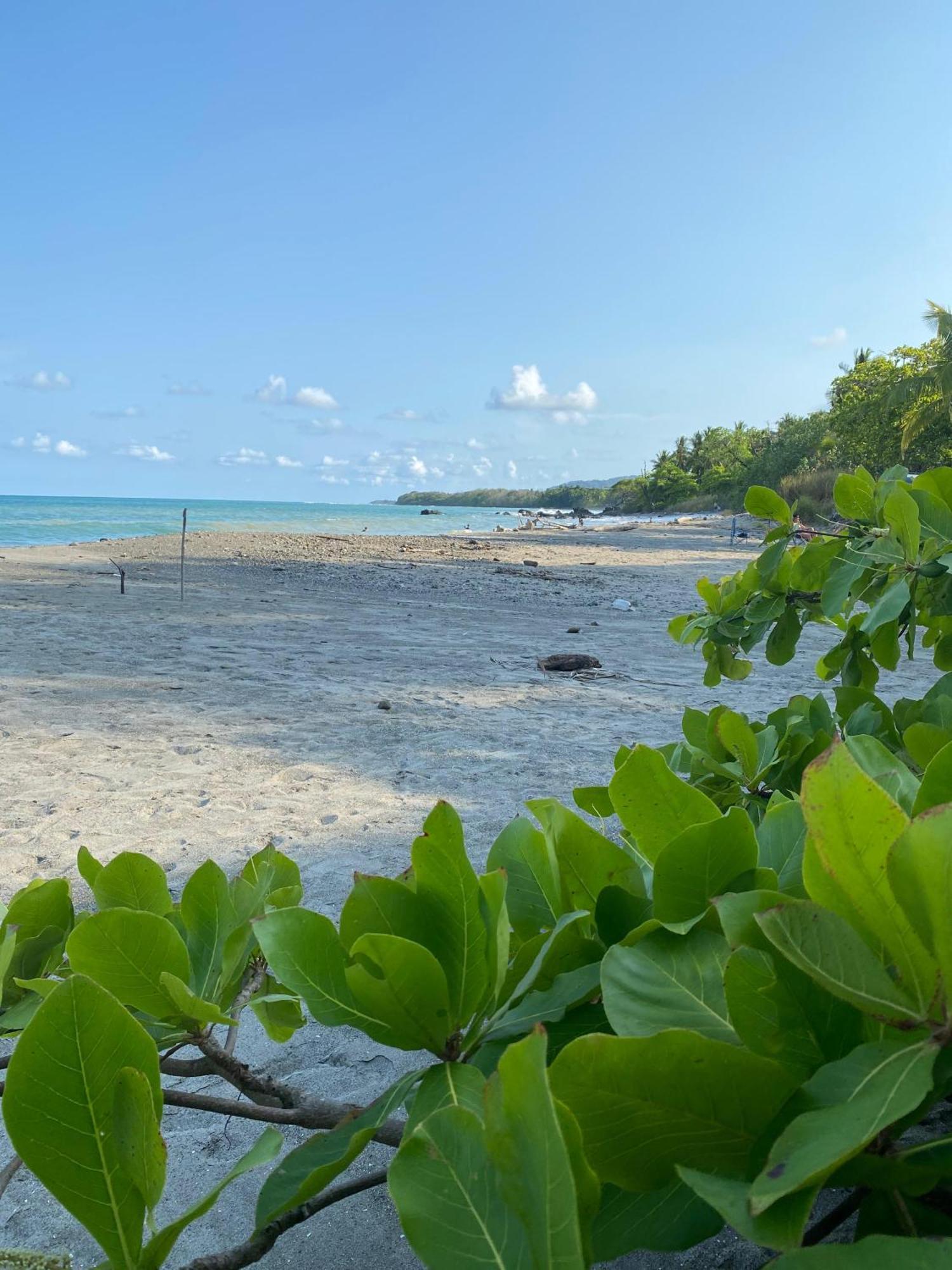 Villas Cabuya Beach & Jungle Εξωτερικό φωτογραφία
