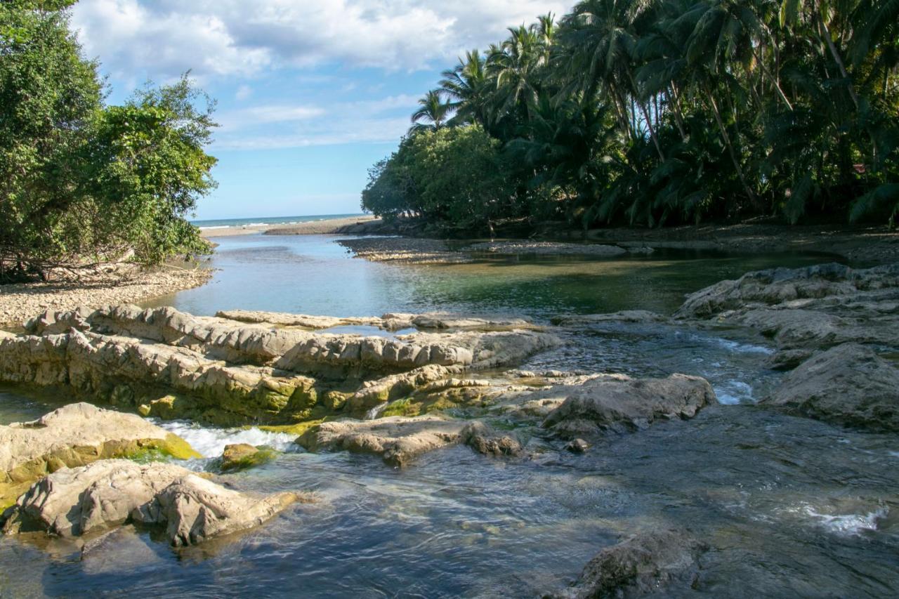Villas Cabuya Beach & Jungle Εξωτερικό φωτογραφία